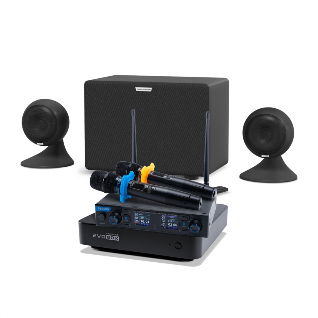 караоке-комплект EVOBOX + EvoSound Sphere 2.1 в Ельце