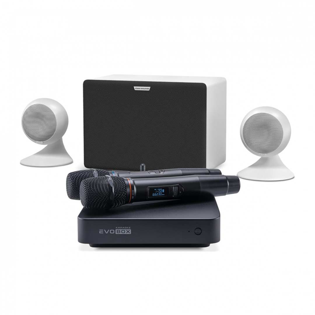 караоке-комплект EVOBOX Classic + EvoSound Sphere 2.1 в Ельце