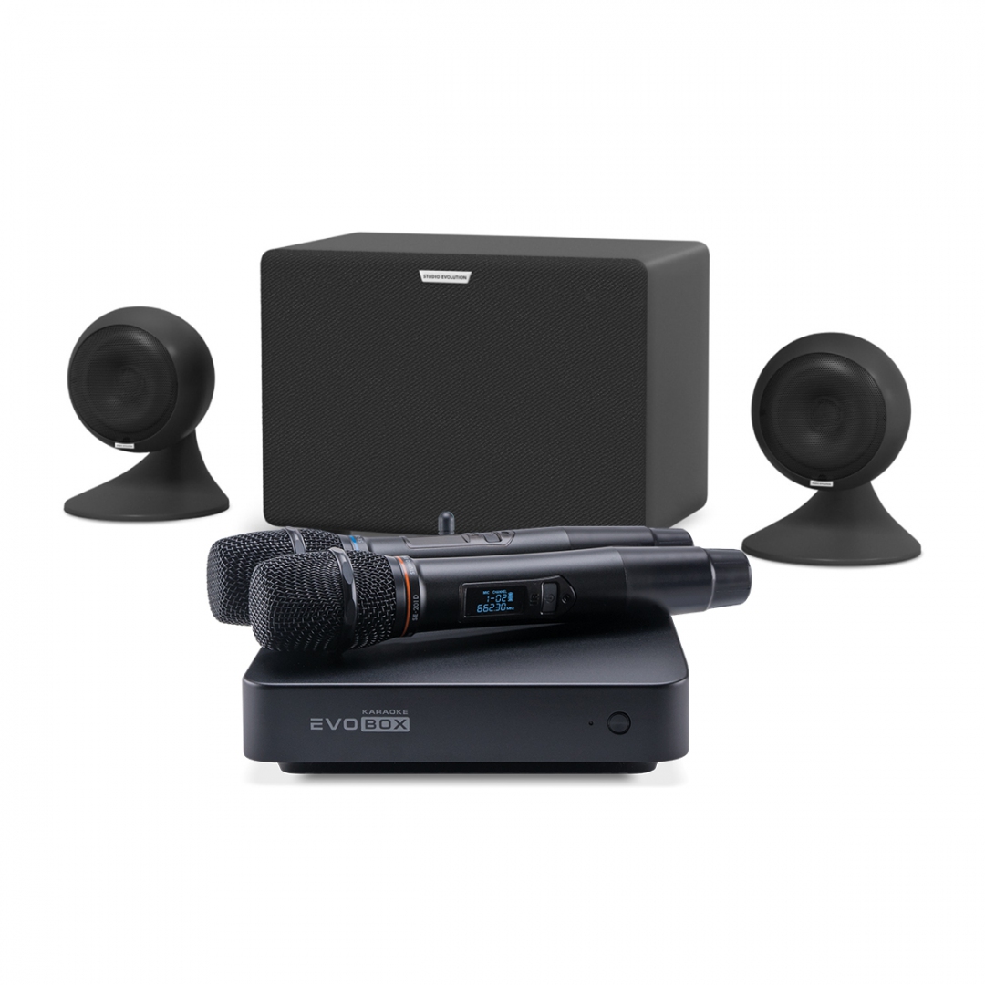 караоке-комплект EVOBOX Plus + EvoSound Sphere 2.1 в Ельце