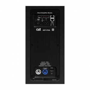 Активная акустическая система AST-312A в Ельце