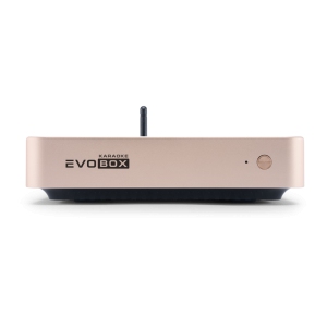 EVOBOX Classic караоке-система для дома в Ельце