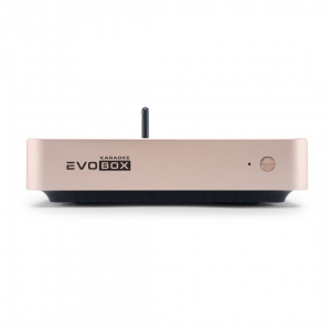 EVOBOX Plus караоке-система для дома в Ельце