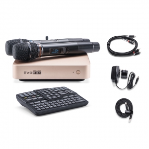 EVOBOX Plus караоке-система для дома в Ельце
